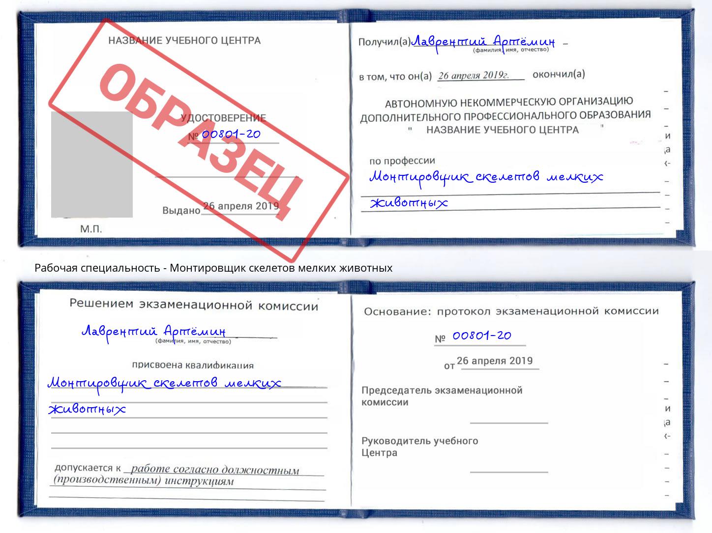 Монтировщик скелетов мелких животных Люберцы