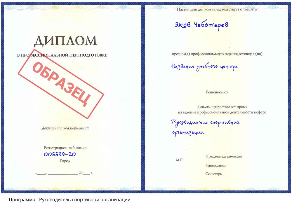 Руководитель спортивной организации Люберцы