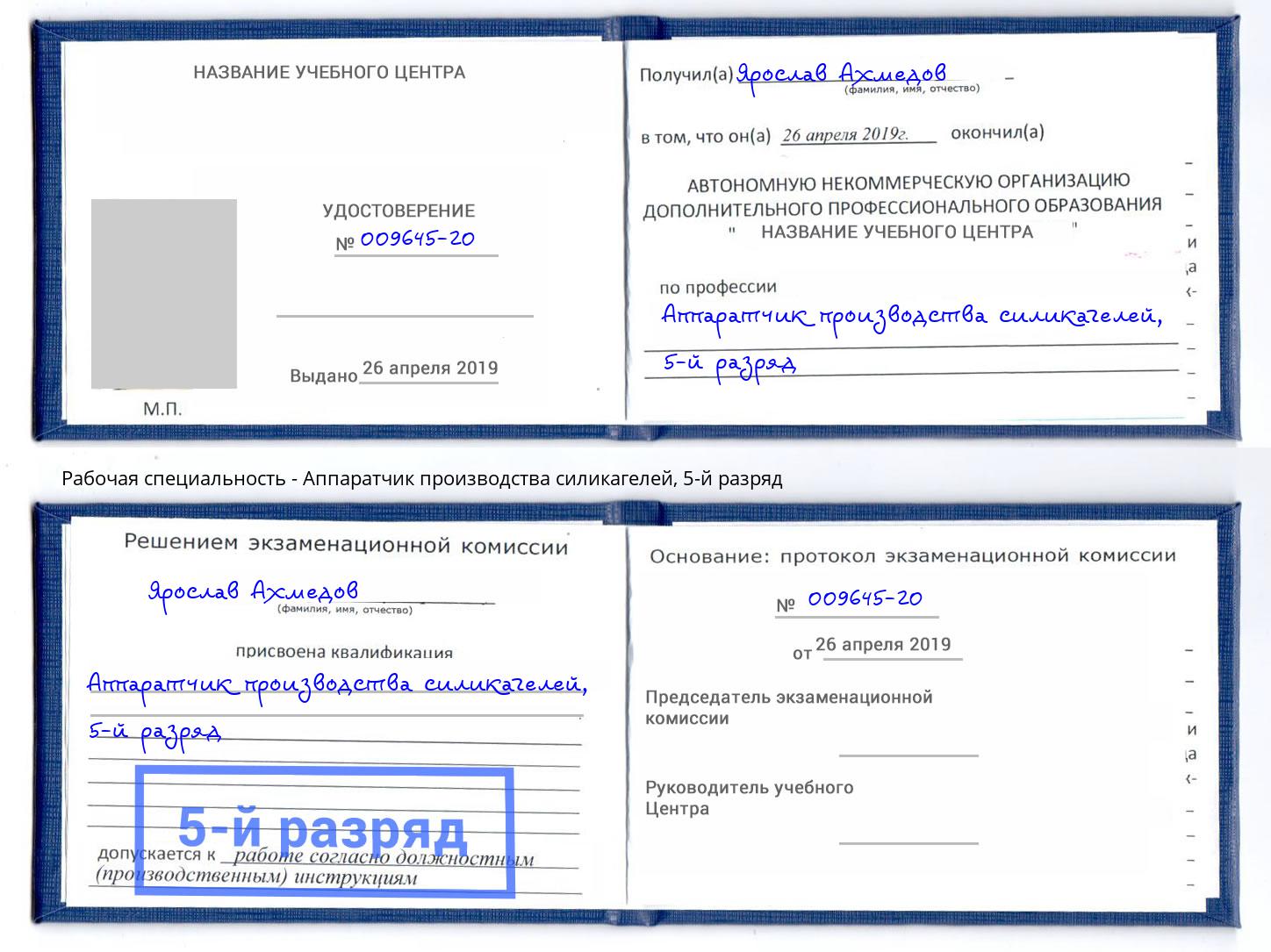корочка 5-й разряд Аппаратчик производства силикагелей Люберцы