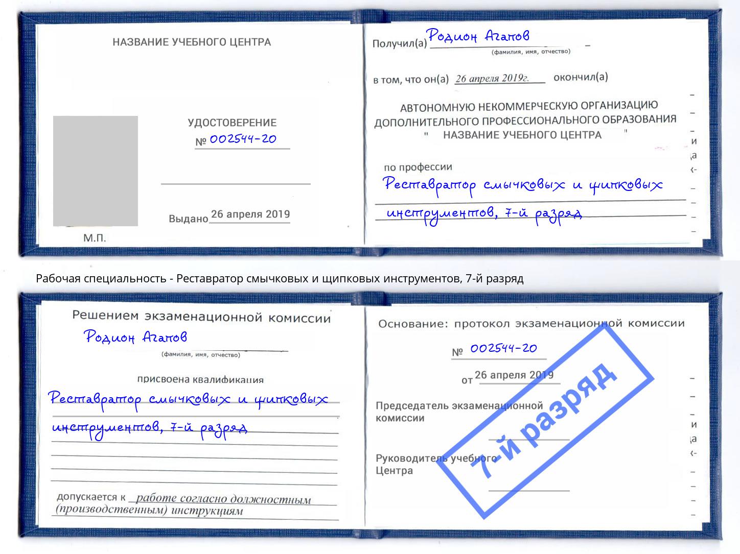 корочка 7-й разряд Реставратор смычковых и щипковых инструментов Люберцы