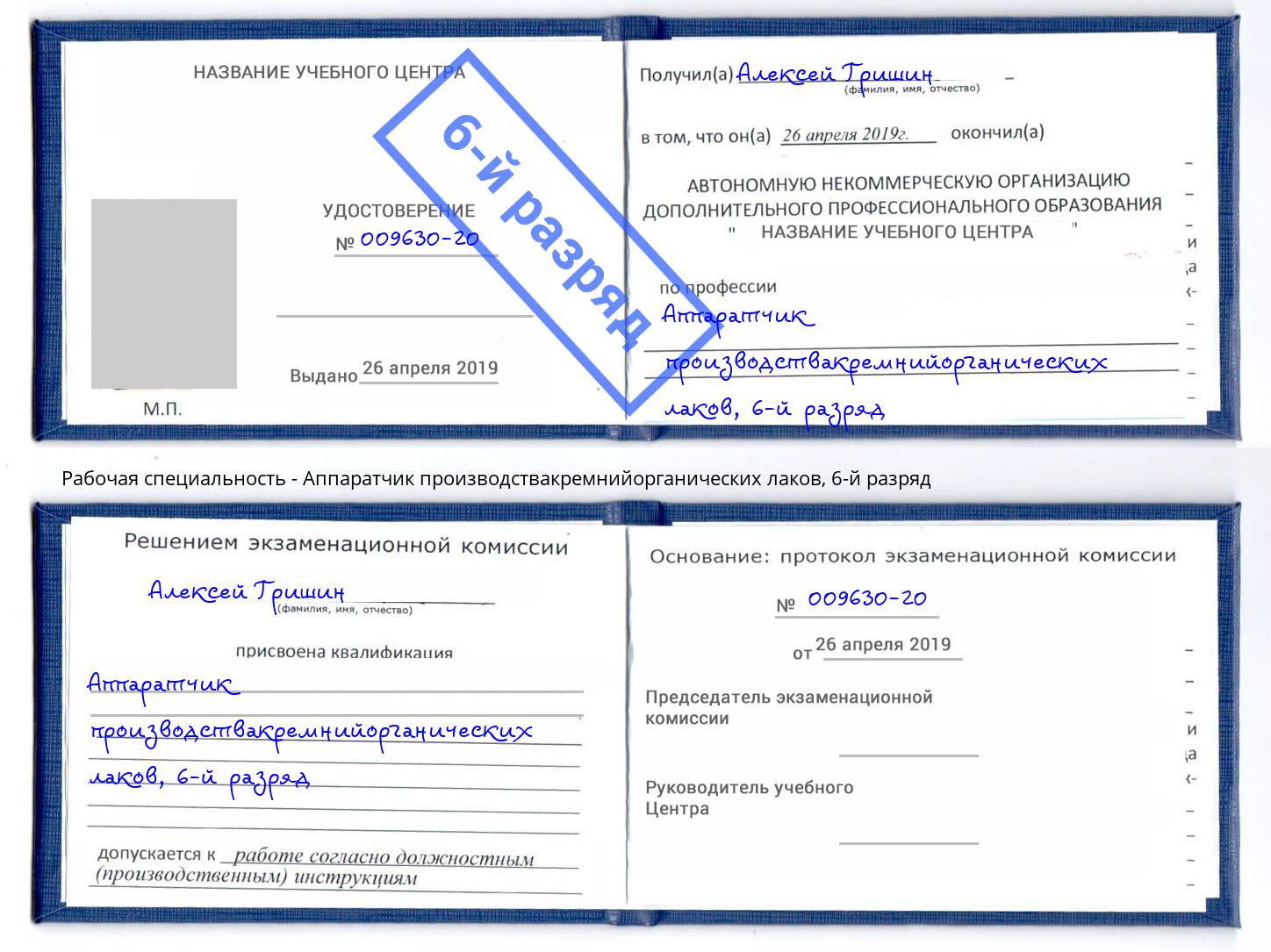 корочка 6-й разряд Аппаратчик производствакремнийорганических лаков Люберцы